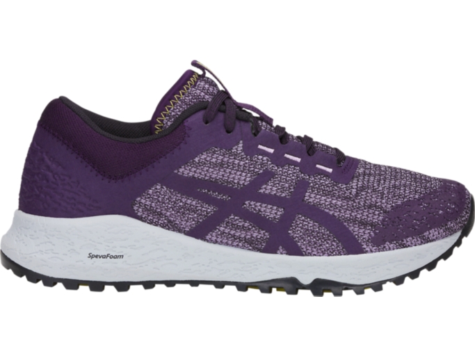 Asics alpine 2024 xt snc99